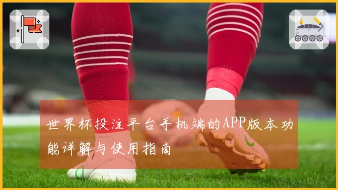 世界杯投注平台手机端的APP版本功能详解与使用指南