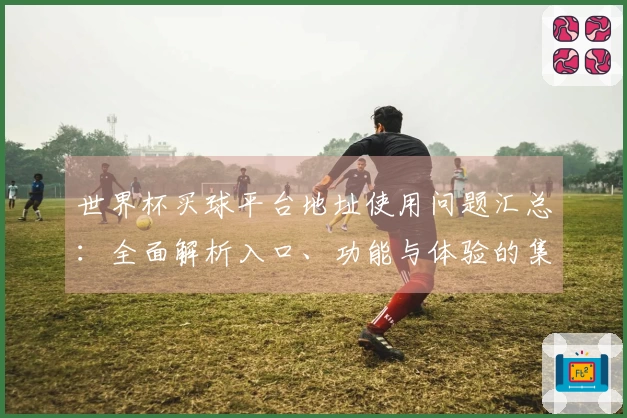 世界杯买球平台地址使用问题汇总：全面解析入口、功能与体验的集合