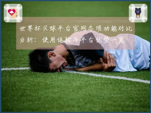 世界杯买球平台官网各项功能对比分析：使用体验与平台优势一览