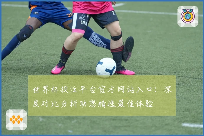 世界杯投注平台官方网站入口：深度对比分析助您精选最佳体验