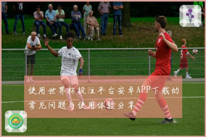 使用世界杯投注平台安卓APP下载的常见问题与使用体验分享