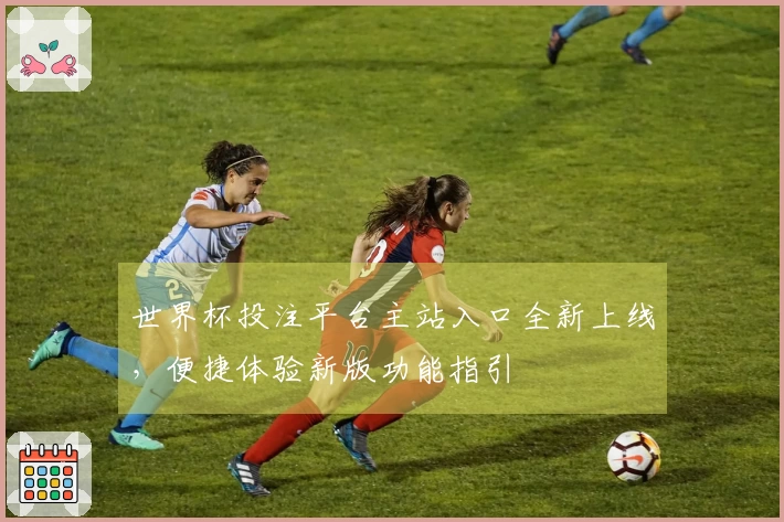 世界杯投注平台主站入口全新上线，便捷体验新版功能指引