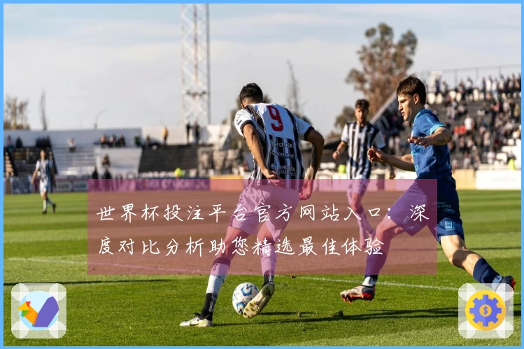 世界杯投注平台官方网站入口：深度对比分析助您精选最佳体验