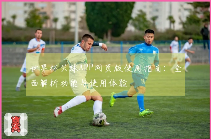 世界杯买球APP网页版使用指南：全面解析功能与使用体验