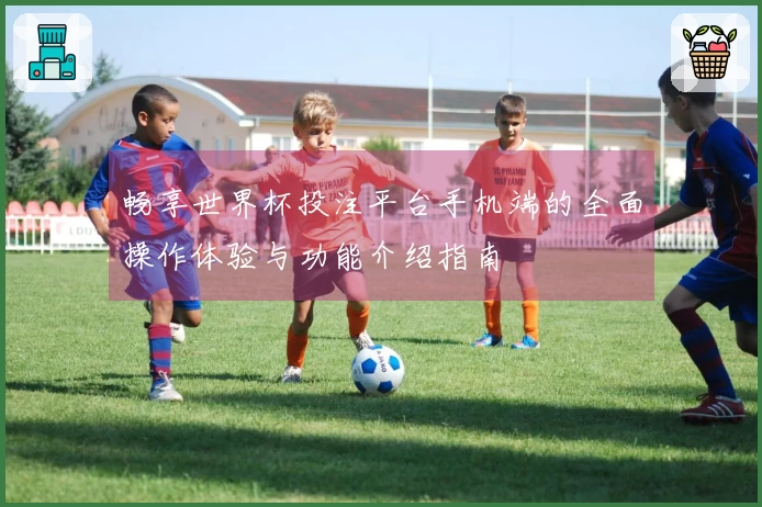 畅享世界杯投注平台手机端的全面操作体验与功能介绍指南