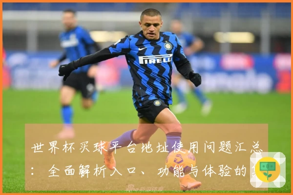 世界杯买球平台地址使用问题汇总：全面解析入口、功能与体验的集合