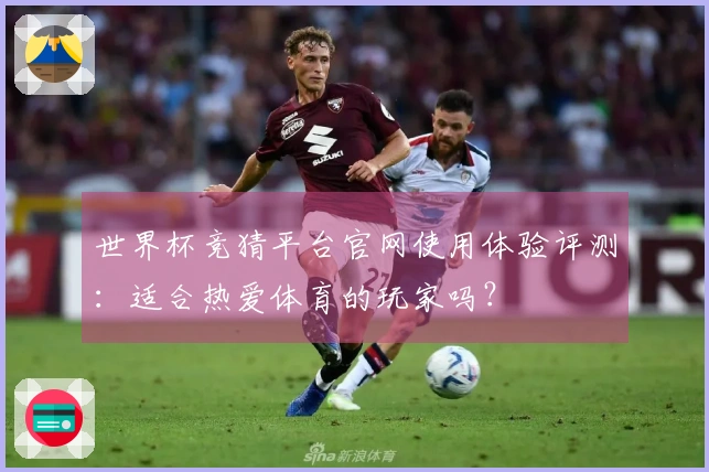 世界杯竞猜平台官网使用体验评测：适合热爱体育的玩家吗？